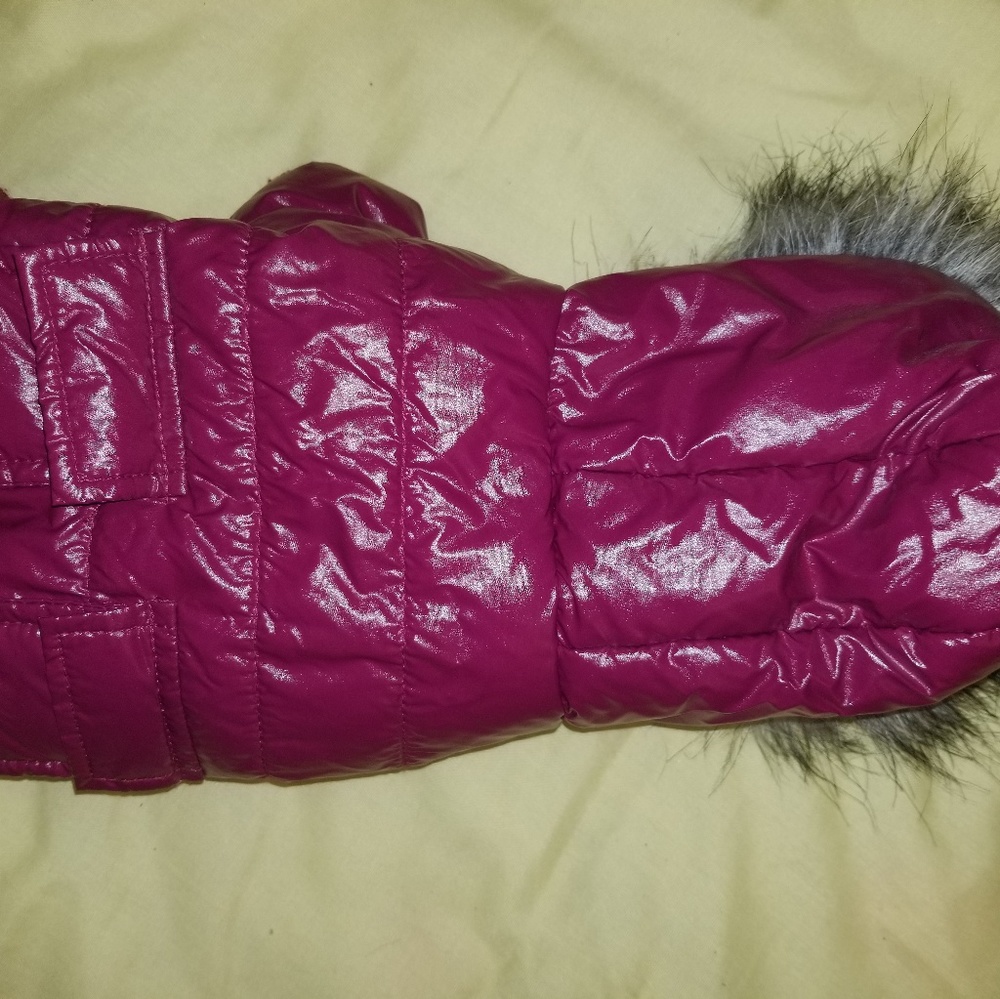 Dog coat small